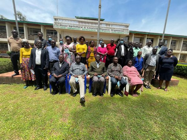 Organically grow the holistic world view